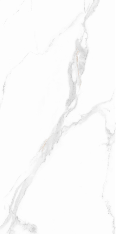 鸿运国际·(中国)最新官方网站