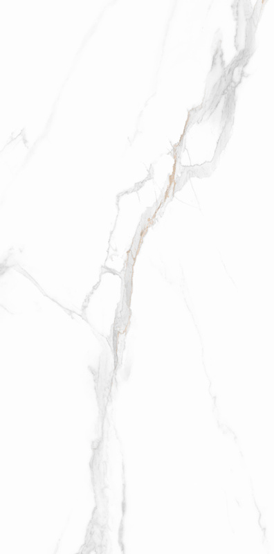 鸿运国际·(中国)最新官方网站