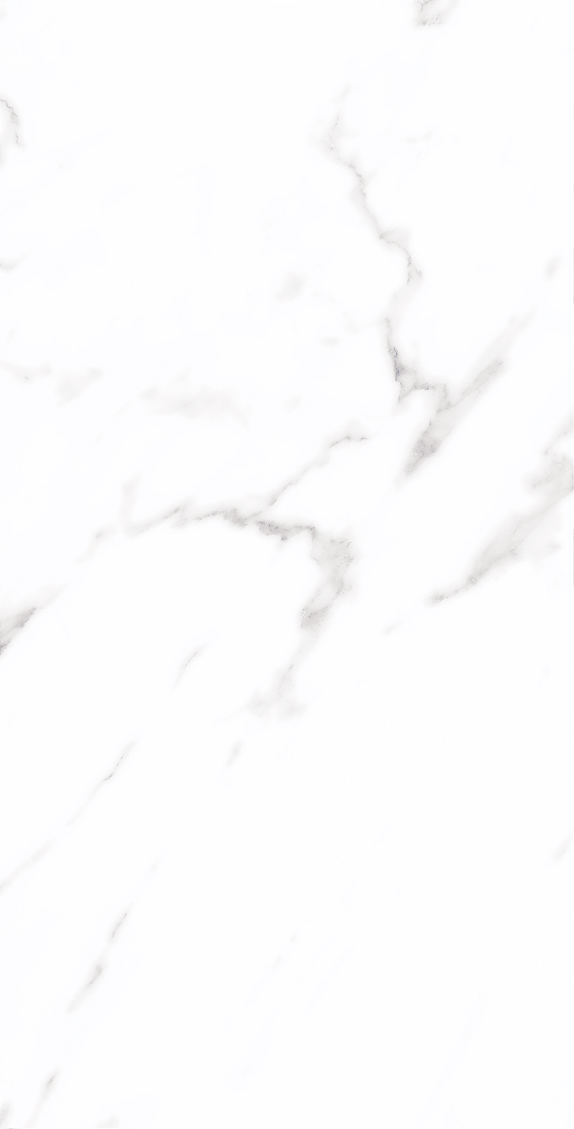 鸿运国际·(中国)最新官方网站